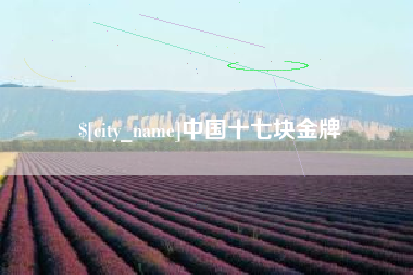 庆阳中国十七块金牌