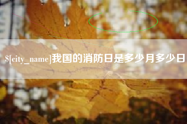庆阳我国的消防日是多少月多少日