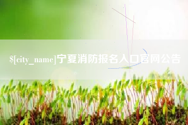 庆阳宁夏消防报名入口官网公告