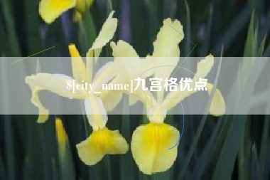 庆阳九宫格优点