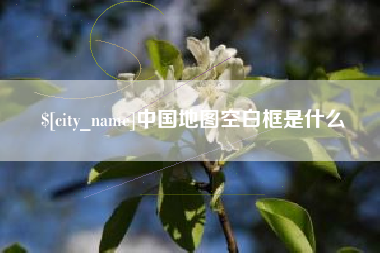 庆阳中国地图空白框是什么