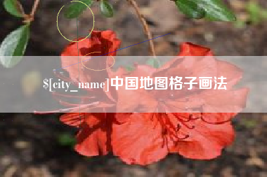 庆阳中国地图格子画法