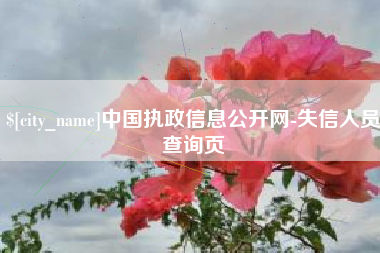 庆阳中国执政信息公开网-失信人员查询页