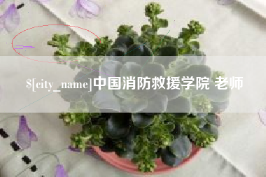 庆阳中国消防救援学院 老师