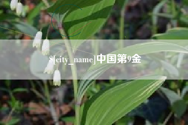 庆阳中国第9金
