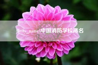 庆阳中国消防学校排名