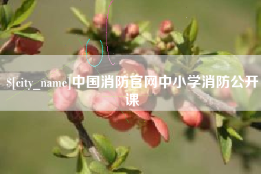 庆阳中国消防官网中小学消防公开课
