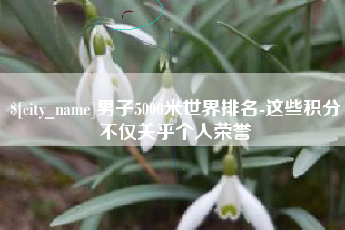 庆阳男子5000米世界排名-这些积分不仅关乎个人荣誉