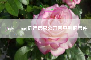 庆阳执行信息公开网查到的案件