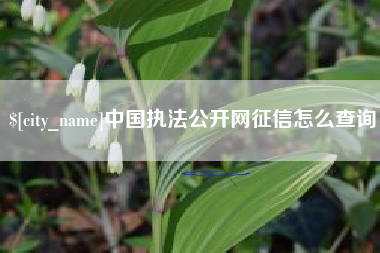 庆阳中国执法公开网征信怎么查询