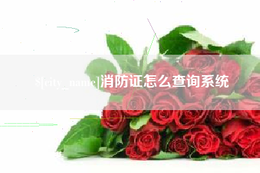 庆阳消防证怎么查询系统