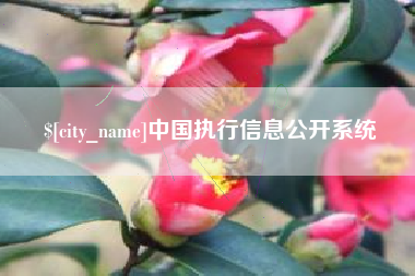 庆阳中国执行信息公开系统