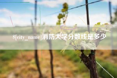 庆阳消防大学分数线是多少