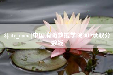 庆阳中国消防救援学院2019录取分数线