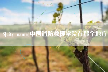 庆阳中国消防救援学院在那个地方