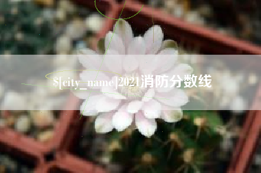 庆阳2021消防分数线