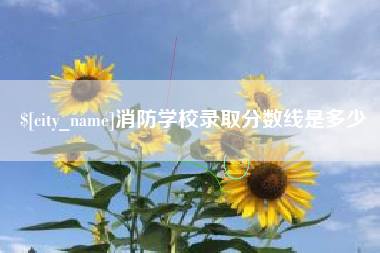 庆阳消防学校录取分数线是多少