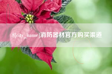 庆阳消防器材官方购买渠道