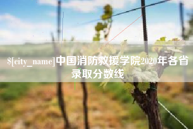 庆阳中国消防救援学院2020年各省录取分数线