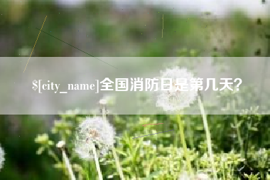 庆阳全国消防日是第几天？