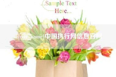 庆阳中国执行网信息官网