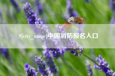 庆阳中国消防报名入口