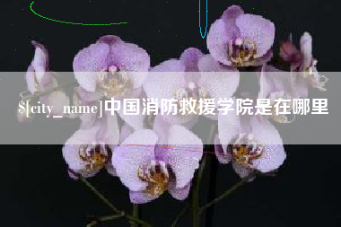 庆阳中国消防救援学院是在哪里