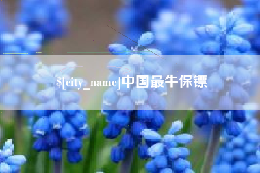 庆阳中国最牛保镖