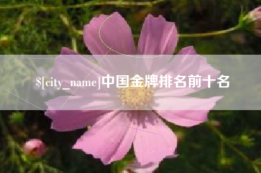 庆阳中国金牌排名前十名