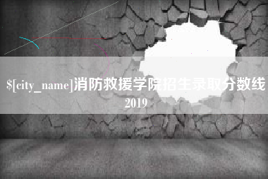 庆阳消防救援学院招生录取分数线2019
