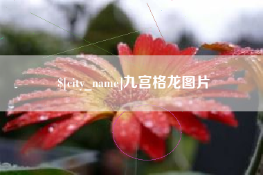 庆阳九宫格龙图片