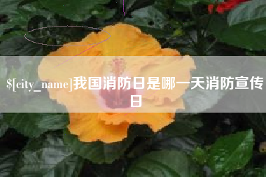 庆阳我国消防日是哪一天消防宣传日