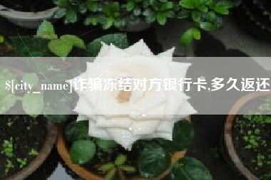 庆阳诈骗冻结对方银行卡,多久返还