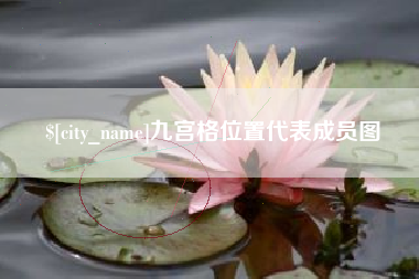 庆阳九宫格位置代表成员图