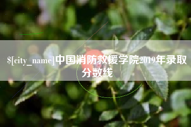 庆阳中国消防救援学院2019年录取分数线