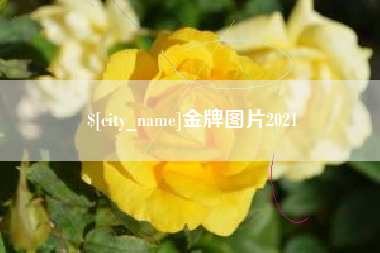 庆阳金牌图片2021