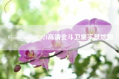 庆阳2024高清北斗卫星实景地图