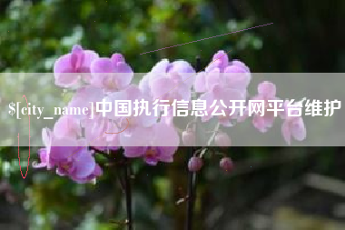 庆阳中国执行信息公开网平台维护