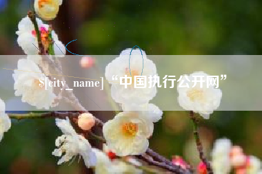 庆阳“中国执行公开网”