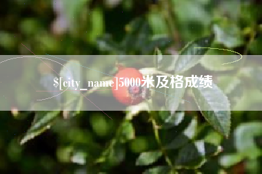 庆阳5000米及格成绩