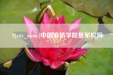 庆阳中国消防学院是军校吗