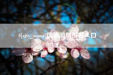 庆阳国家消防报名入口