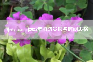 庆阳2025年消防员报名时间表格