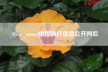 庆阳中国执行信息公开网后