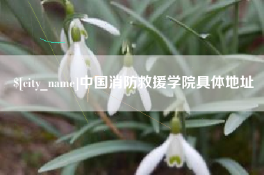 庆阳中国消防救援学院具体地址