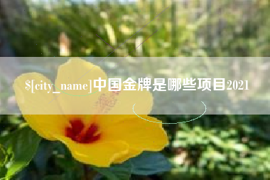 庆阳中国金牌是哪些项目2021