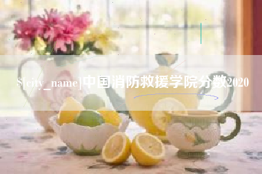 庆阳中国消防救援学院分数2020