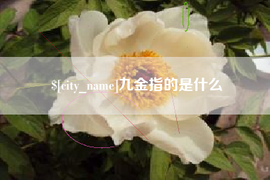 庆阳九金指的是什么