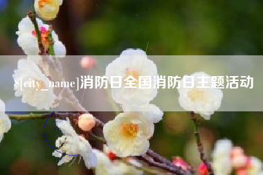 庆阳消防日全国消防日主题活动