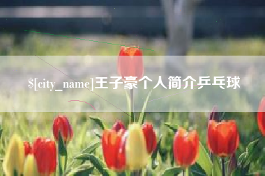 庆阳王子豪个人简介乒乓球